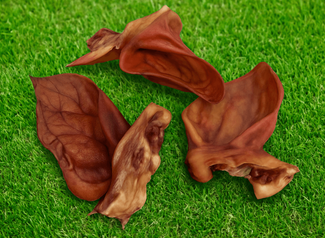 Orejas de cerdo deshidratadas
